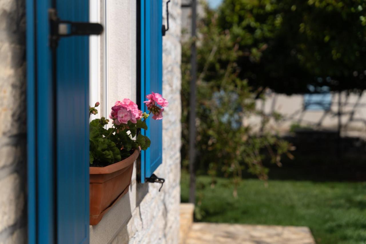 Villa Daulos Novigrad  Bagian luar foto