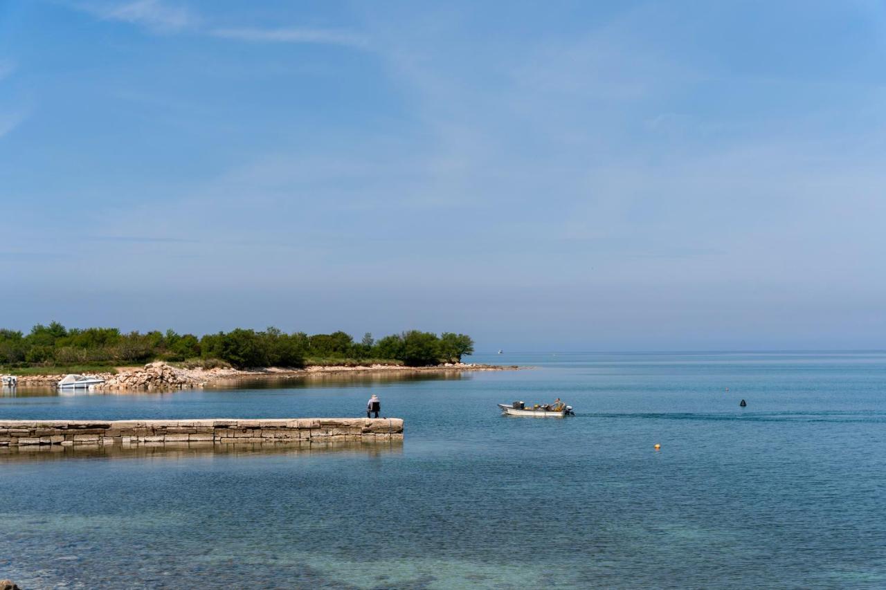 Villa Daulos Novigrad  Bagian luar foto